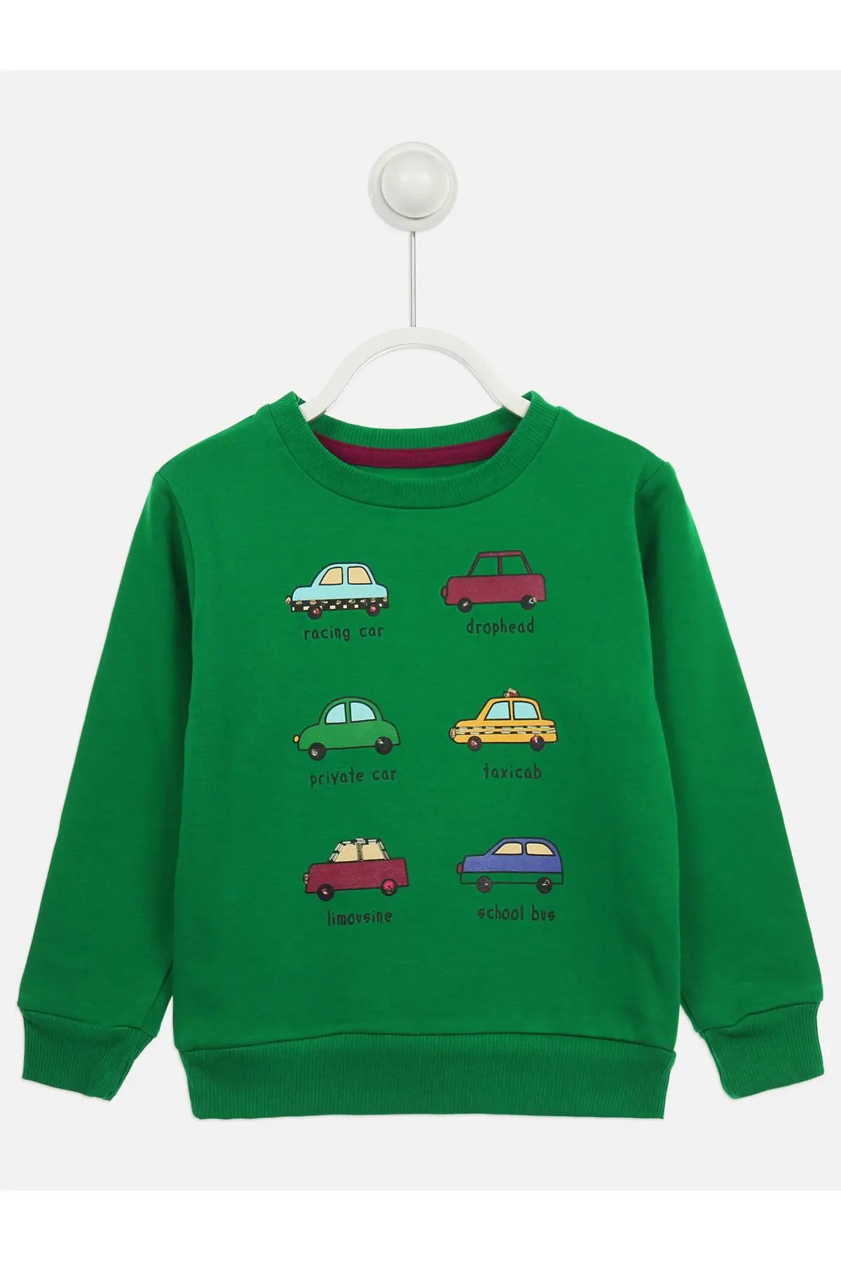 

Green Seasonal Male Child Sweatshirt