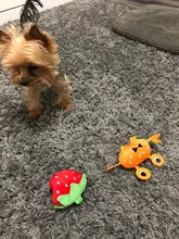 Dog-Toys Plush-Squeaky Pet-Supplies Puppy-Training-Toy Bite-Resistant Vegetable Dog Chew