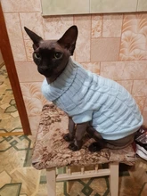 Sweater Clothing Jacket Winter Coat Knitted Cats Kitty Cotton Warm Leisure for Small