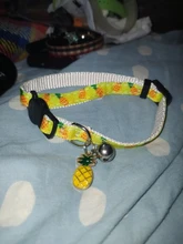 Patrón de flor de nueva moda gato ajustable Collar con cascabel Collar para gatos cachorro mascotas plomo correas para mascotas