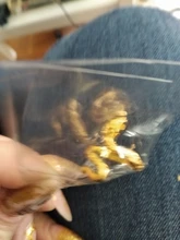 Retro Punk serpiente anillo para hombres y mujeres exagerado antiguo plata oro anillos que se abren ajustables Rock exagerado joyas