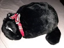 Estuche de lápices kawaii para niñas, estuche escolar de felpa con diseño de gato, de lona, estuche escolar para lápices