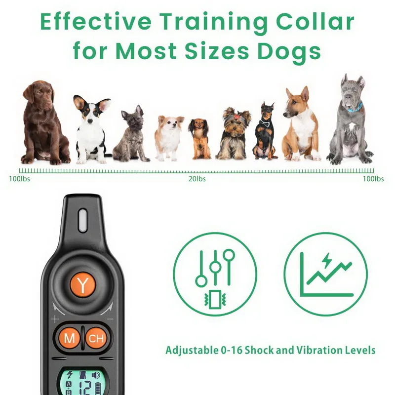 8806_Orange_015_resize