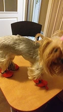 4 unidades/juego de zapatos de lluvia antideslizantes de Cachemira suave y cálida para mascotas, calzado suave a prueba de viento para perros y mascotas, zapatos impermeables antideslizantes