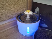 Drinking-Bowl Auto-Feeder CARBON-FILTER Water-Dispenser Water-Fountain Cat Automatic