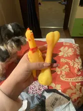 1PC Rubber Squeak Toy for Dog Screaming Chicken Chew Bone Slipper Squeaky Ball Dog Toys