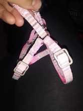 Leash-Set Pet-Products Dog-Harness Dogs Adjustable Small Chihuahua Walking Nylon And