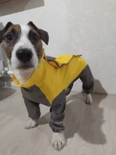 Mono impermeable para perro mascota, ropa impermeable para exteriores, mono con capucha para perros pequeños y grandes, capa impermeable, Bulldog francés