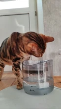 Cat-Water-Fountain Faucet Drinker Pet-Sensor TRANSPARENT-FILTER Dog-Water-Dispenser Downypaws