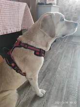 Vest Harness Pet-Dog No-Pull SUPREPET Nylon Adjustable for Large Medium