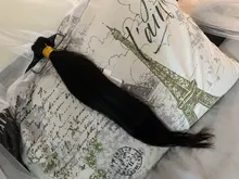 Extensiones de cabello humano con cierre de hueso, extensiones de cabello humano liso, con cierre, hecho a mano