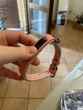 Collar Pet-Products Puppy Engraved French Bulldog Small Dogs Custom Personalized Pug