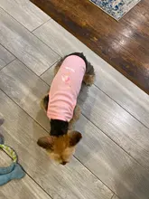 Ropa de verano para mascotas, Camiseta con estampado de flamenco para perro, chaleco para perros pequeños y medianos, accesorios para mascotas, chaleco para gatos, camisas, XS-2XL