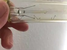 Spiral-Lamp Light-Bulb Filament Ampoule G95 T45 E27 Incandescent Retro Vintage G80 ST64