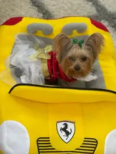 Dog-Beds Pet-Products Puppy-Cat-House Cama Cats Dogs Small Luxury Cushion Dog-Sleeping-Kneel