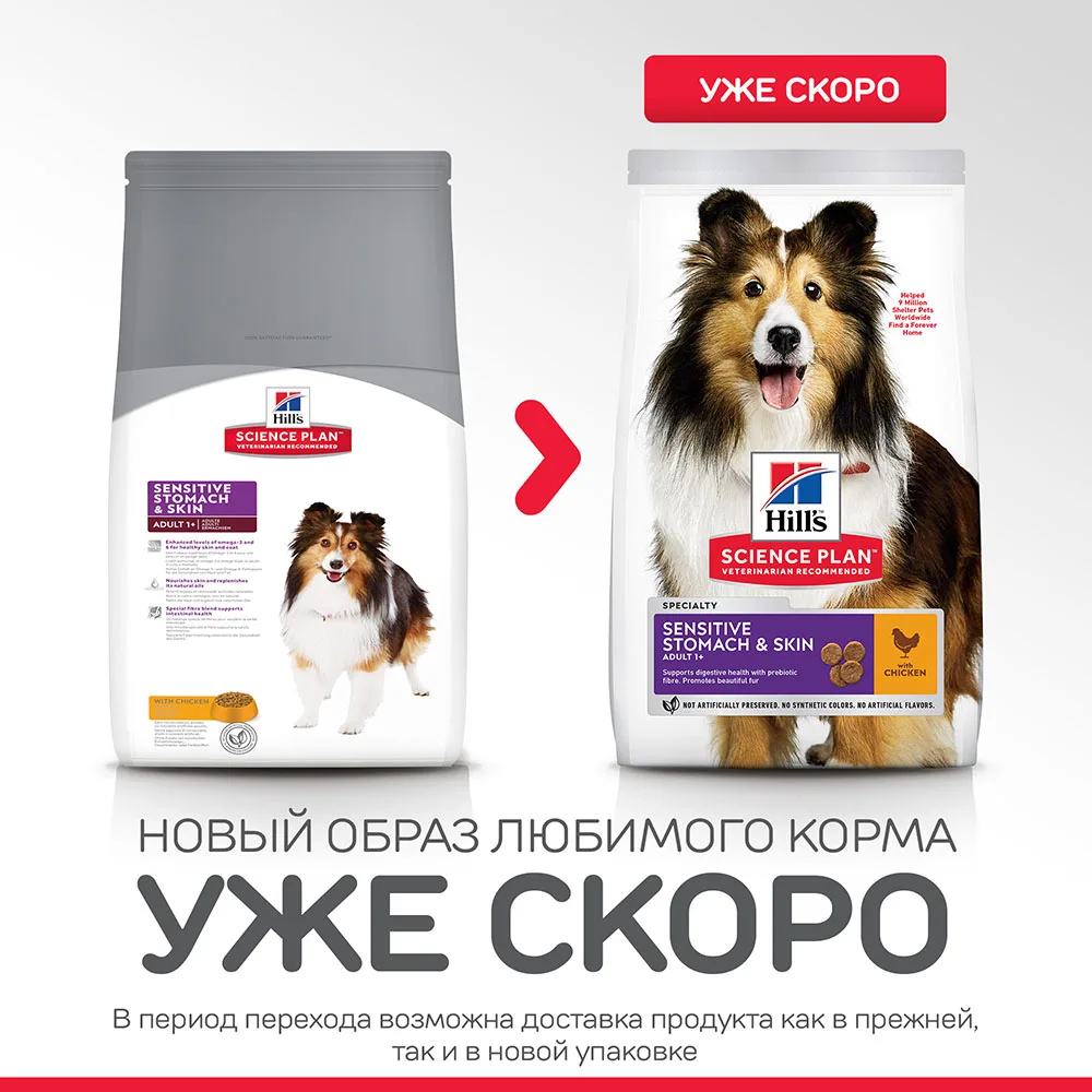 Hill's Science Plan Sensitive Stomach& Skin сухой корм для взрослых собак для здоровья кожи и пищеварения с курицей 12кг