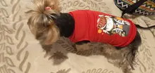 Ropa de perro para perros pequeños estampado bonito verano mascotas camiseta perro ropa chaleco para gatos mascota de algodón de T camisa Pug ropa trajes