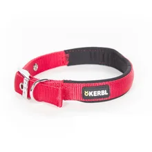 Kerbl Collar de Nylon para Perros con Herrajes de Acero Color Rojo 45-53 centímetros