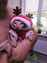 Ropa navideña para gatos pequeños, disfraz de Papá Noel, gatito, cachorro, Sudadera con capucha, ropa cálida para perros y mascotas, accesorios de ropa