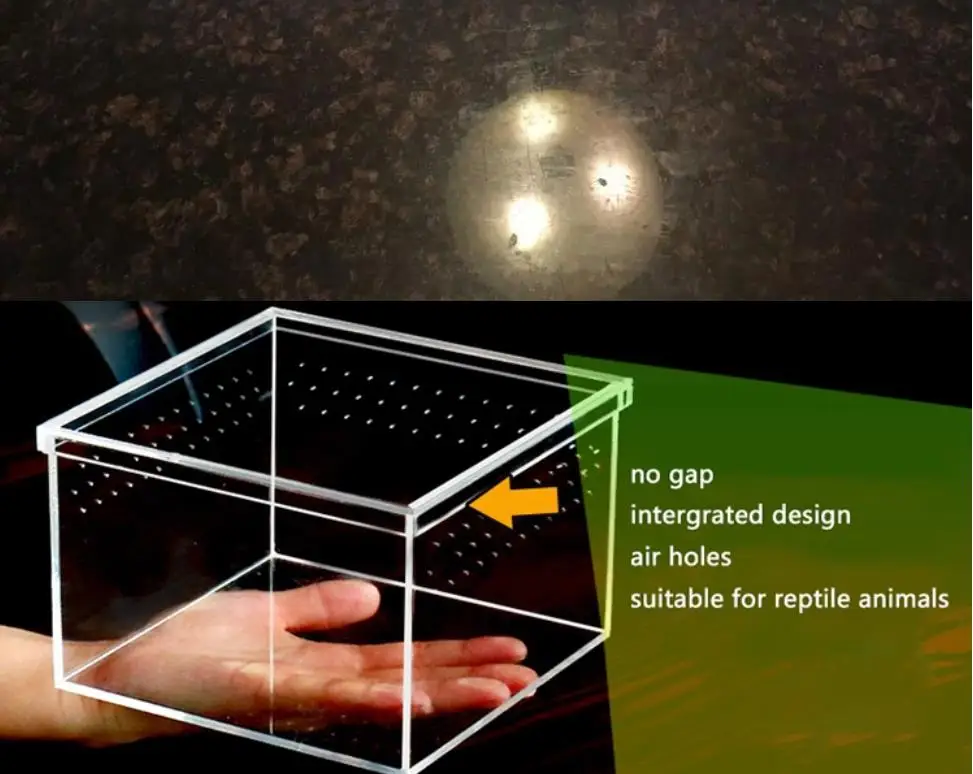 Для Улитка акрилового стекла коробка ваза мини пейзаж Сказочный Сад DIY Террариум
