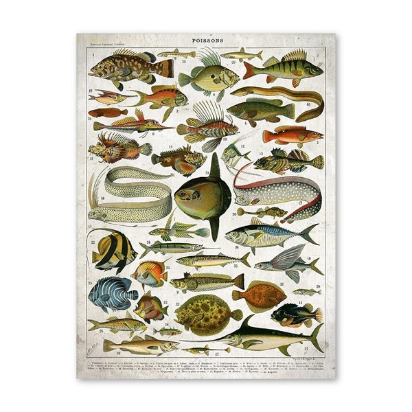 Старинный плакат с рыбками, французская версия Poisson, Офисная настенная художественная картина, Картина на холсте, принт, Франция, украшение для дома на стену - Color: PH7487