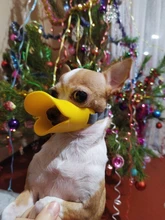 Bozal de silicona para perros, máscara bozal antimordida para perros pequeños y grandes, boquillas para la boca, accesorios de mascota perro