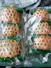 Juguete de pájaro para morder de madera, suministros prácticos para loros, jaula de diseño de pájaro, juguete de forrajeo, pájaro de juguete colgante, alimentador de comida, suministros para mascotas