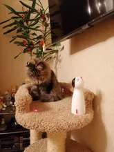 Juguetes interactivos para gatos, Láser LED para mascotas, modo manual divertido, electrónico, para todos los gatos, Laserlampje Kat