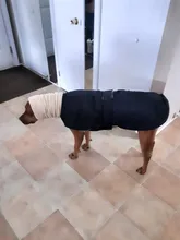 Jacket Clothing Coat Greyhound Waterproof Dog Dogs Large Super-Warm Medium Thick 