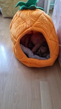 Cat Nest Kennel Dog-House Banana Pineapple Strawberry Foldable Pet-Products Watermelon