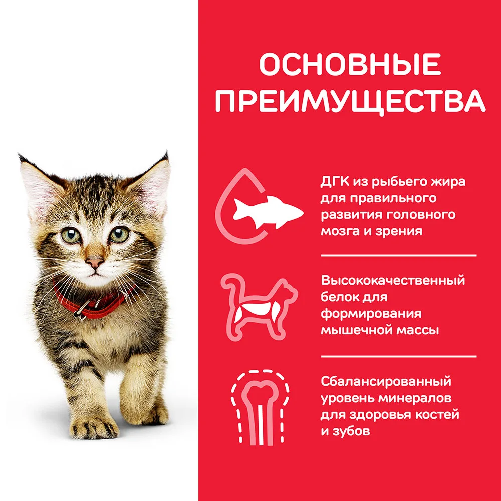 Влажный корм Hill's Science Plan для котят для здорового роста и развития, пауч с курицей в соусе, 85 г*12