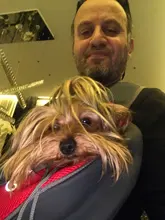 Mochila de policarbonato para perros y gatos, bolsa de hombro de viaje con malla frontal, portador de Animal PEQUEÑO, 1 unidad