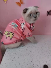 Ropa de gato para gatos, disfraz de gato de invierno, Sudadera con capucha, suéter, ropa de cachorro mascota, productos para gatos