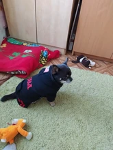 Jumpsuit Clothing Hoodies Jacket Pet-Dog-Coats Small Dogs Sport Apparel Winter Fashion