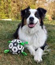 Perro juguete pata de fútbol juguetes para perro perros adiestramiento al aire libre interactivo para mascotas morder masticar juguetes pelota de fútbol y inflador