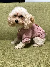 French Bulldog Small Dogs Pugs Winter For Chihuahua Outfit Pink Warm Clothing Roupa Pet-38s2