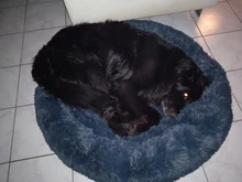 Saco de dormir en invierno para mascotas, caseta de lecho de gatos y perros supersuave, saco de dormir largo y afelpado para cachorros, esterilla portátil, tamaño de 46/50/60cm