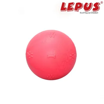 

Large Ball Toy-Pink