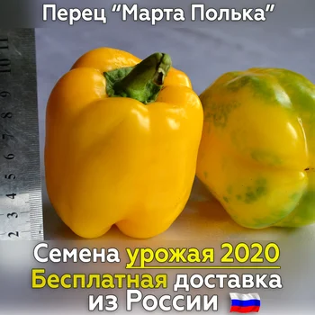 

Sweet pepper seeds Martha polka-free shipping from Russia, fresh crop, tested grade