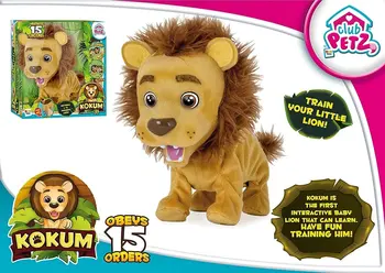 

IMC - Kokum, the first interactive Lion