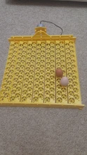154 Eggs Incubator Eggs Automatic Incubator Incubator motor Turn Tray Poultry Incubation