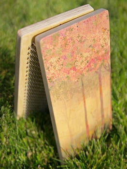 

Sadhu board "Spring Forest" buy with nails for yoga size 320*140 Level 1 F01 with pattern russia Fort fast shipping