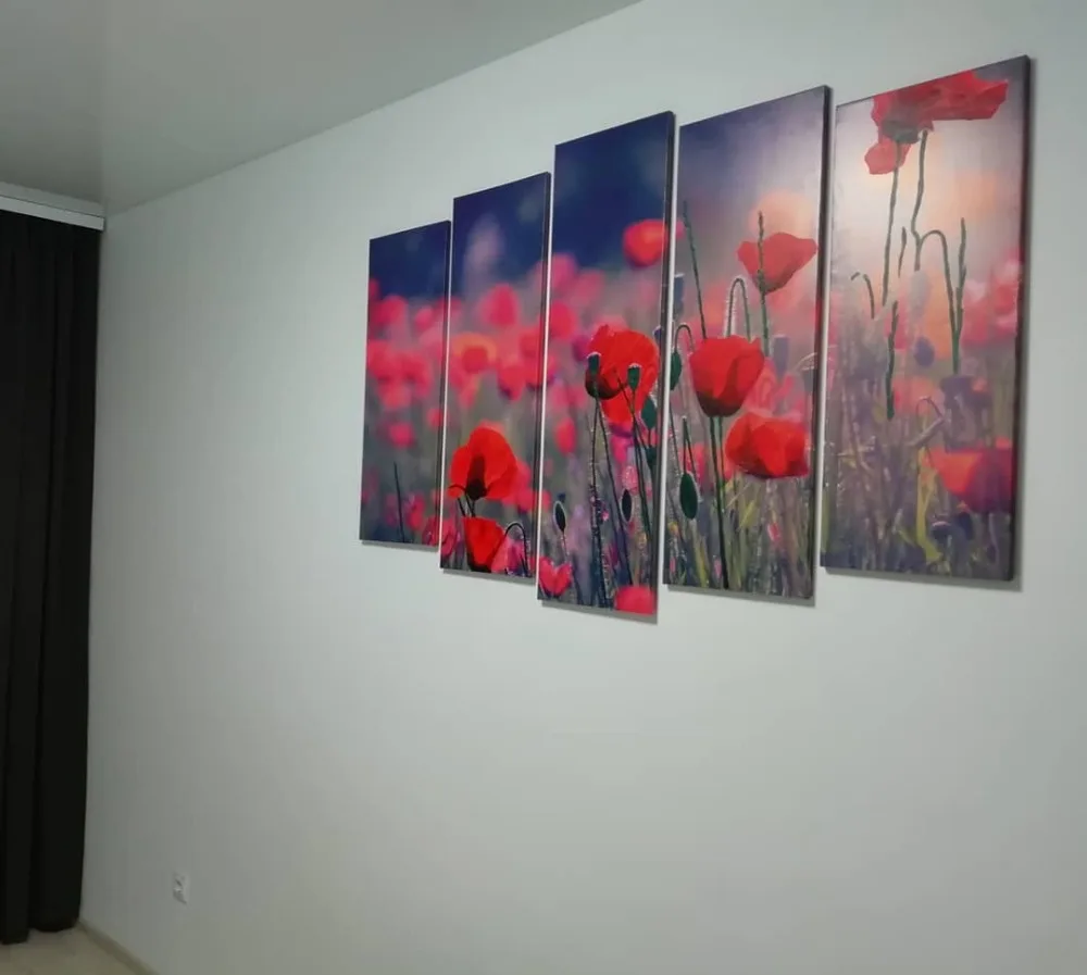 46366872_267246167297450_8381821845698690652_n