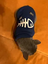 Invierno ropa para gato mascotas ropa de cachorros y perros sudaderas con capucha para pequeño mediano perros gato gatito Kitty trajes gatos abrigos chaquetas trajes