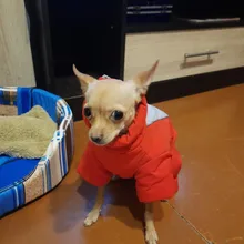 Winter Overalls for Dogs Warm Waterproof Pet Jumpsuit Trousers Male/ Female Dog Reflective