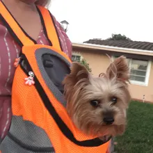 Papipet dog bag VIP link