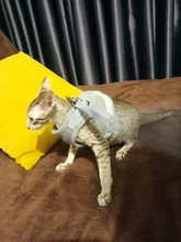 Vest Leash-Set Harness-Leads Puppy Yorkies Reflective Kitten Small Dogs Nylon Mesh And