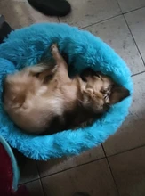 Sofa-Basket House-Beds Cat-Bed Dog-Kennel Deep-Sleeping-Bag Dogs Washable Small Large