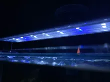 Luz LED para acuario superfino, iluminación para cultivo de plantas acuáticas, lámpara de Clip brillante impermeable, LED azul de 18-75cm para plantas de 220v