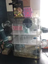 Cage-Box Toilet-Hamster Acrylic-House Sand-Room Bath Mouse-Gerbille Small Pet-Supplies